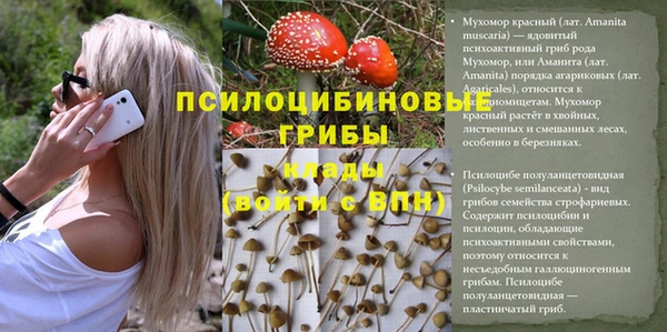 герыч Елабуга