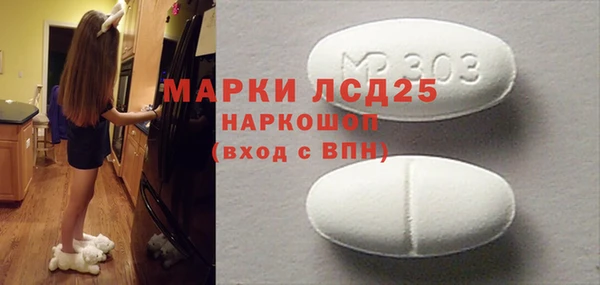 индика Ельня