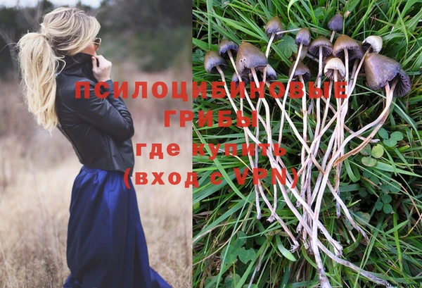 MDMA Premium VHQ Дмитров