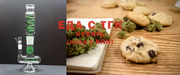 индика Ельня