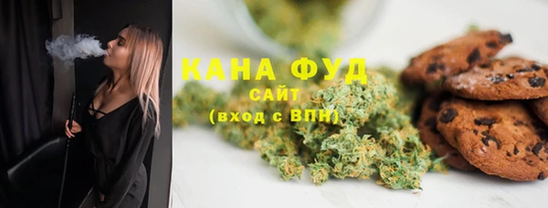 индика Ельня