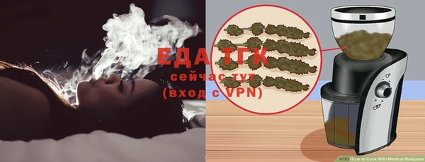 индика Ельня