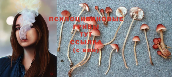 мдма Дмитриев