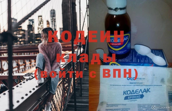 индика Ельня