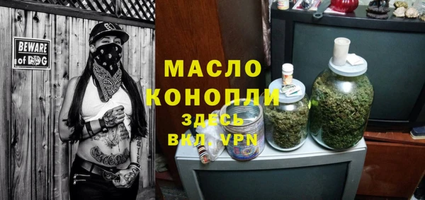 индика Ельня