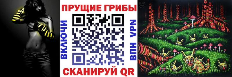 продажа наркотиков Карпинск MEGA ссылки Псилоцибиновые грибы Psilocybine cubensis