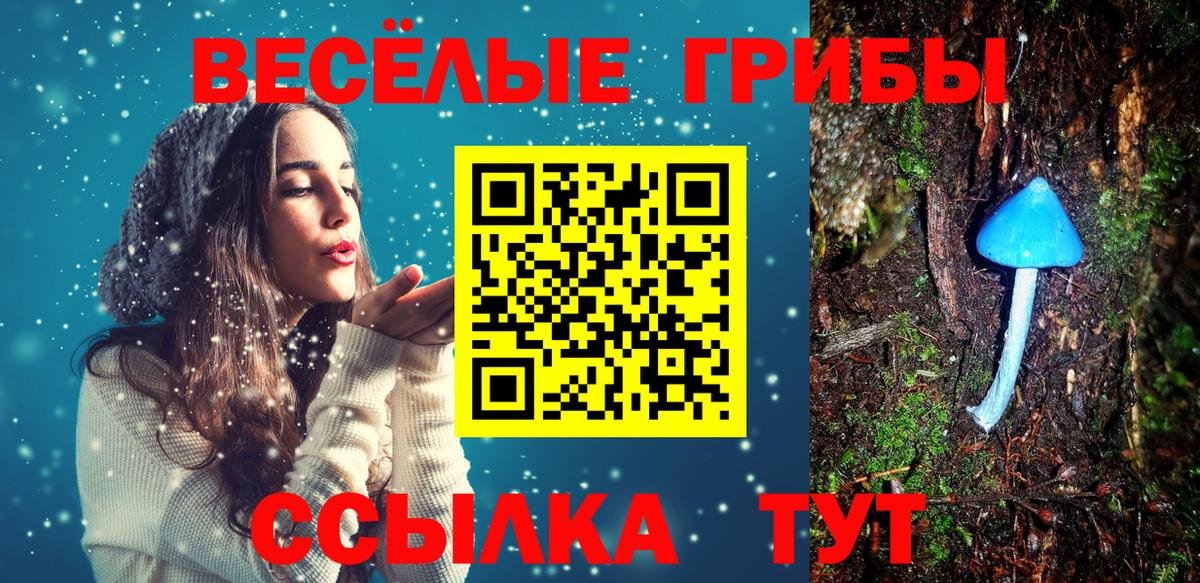 Галлюциногенные грибы мухоморы Карпинск